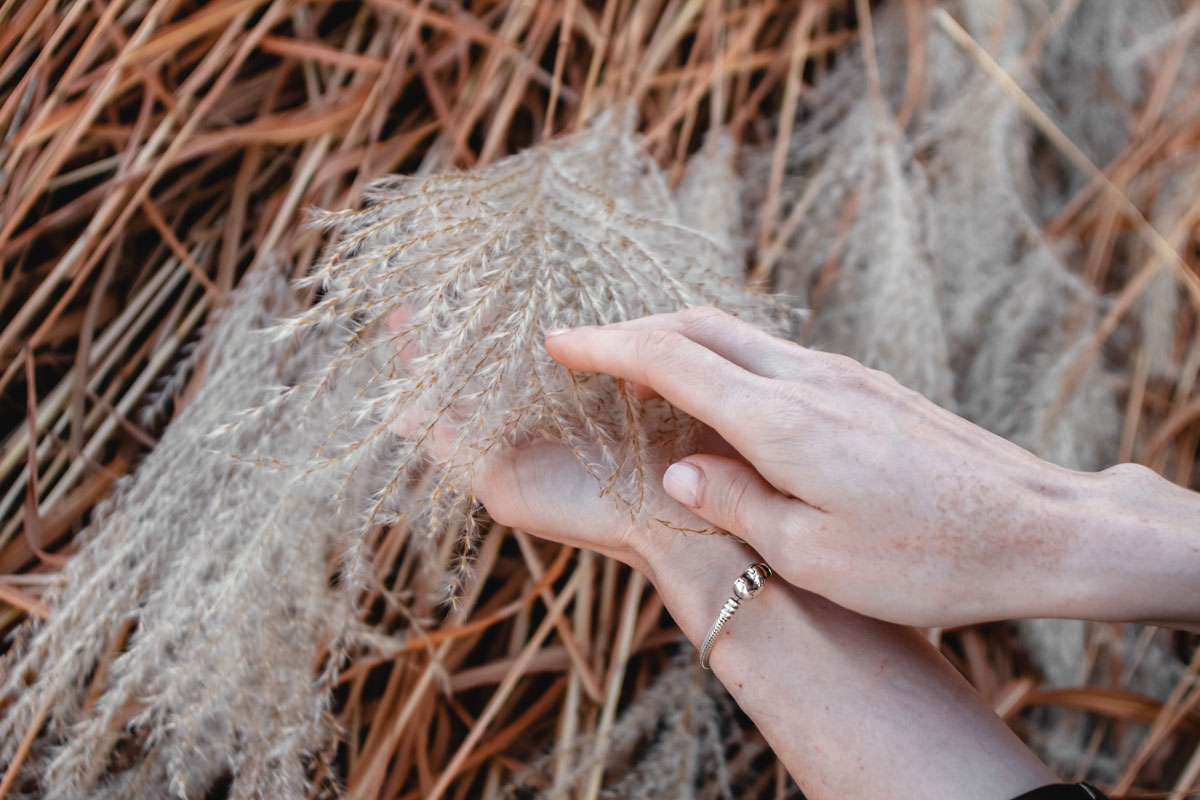 ženské ruce hľadí okrasnou trávu