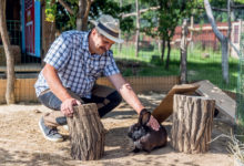 Chovatel králíků hladí černého králíka-Chov králíků
