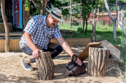 Chovatel králíků hladí černého králíka-Chov králíků