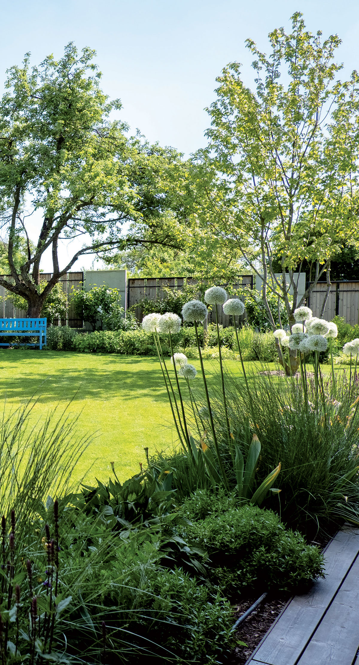 Modrá lavice vysoká tráva v popředí-Návštěva zahrady
