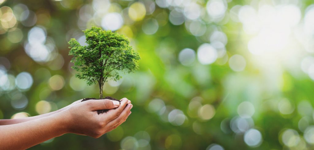 Přispějte ke správnému fungování planety: Pěstujte ekologicky