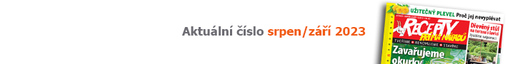 Recepty prima nápadů