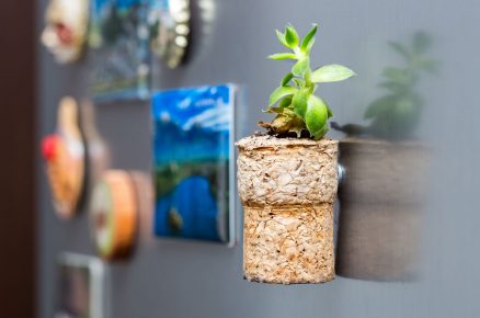 magnetka s rostlinou z korku