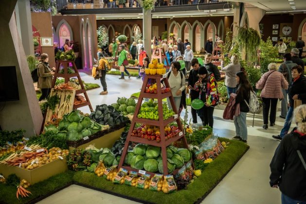 Podzimní mezinárodní výstava Flora Olomouc – Hortikomplex připomene společné kořeny České a Slovenské republiky