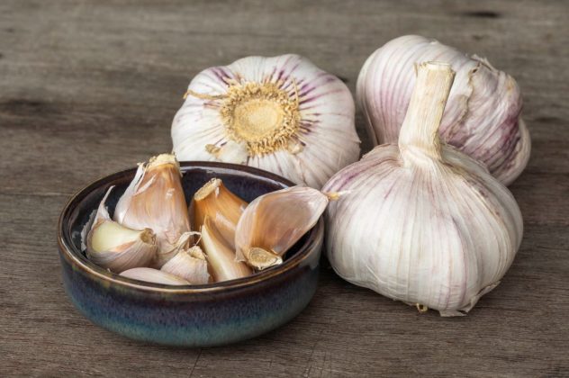 Výsadba česneku přehledně a srozumitelně