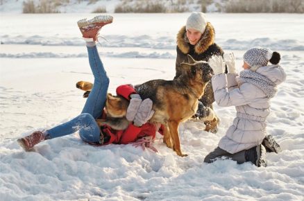 Pes ve sněhu s lidmi
