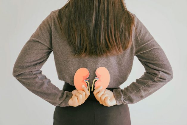 Zaměřeno na ledviny: Poznejte, které potraviny je nejvíce posílí