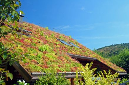 Velká zelená střecha