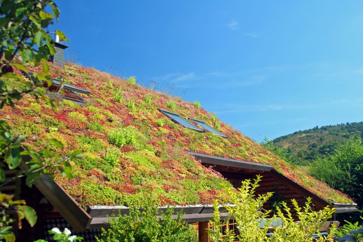 Velká zelená střecha
