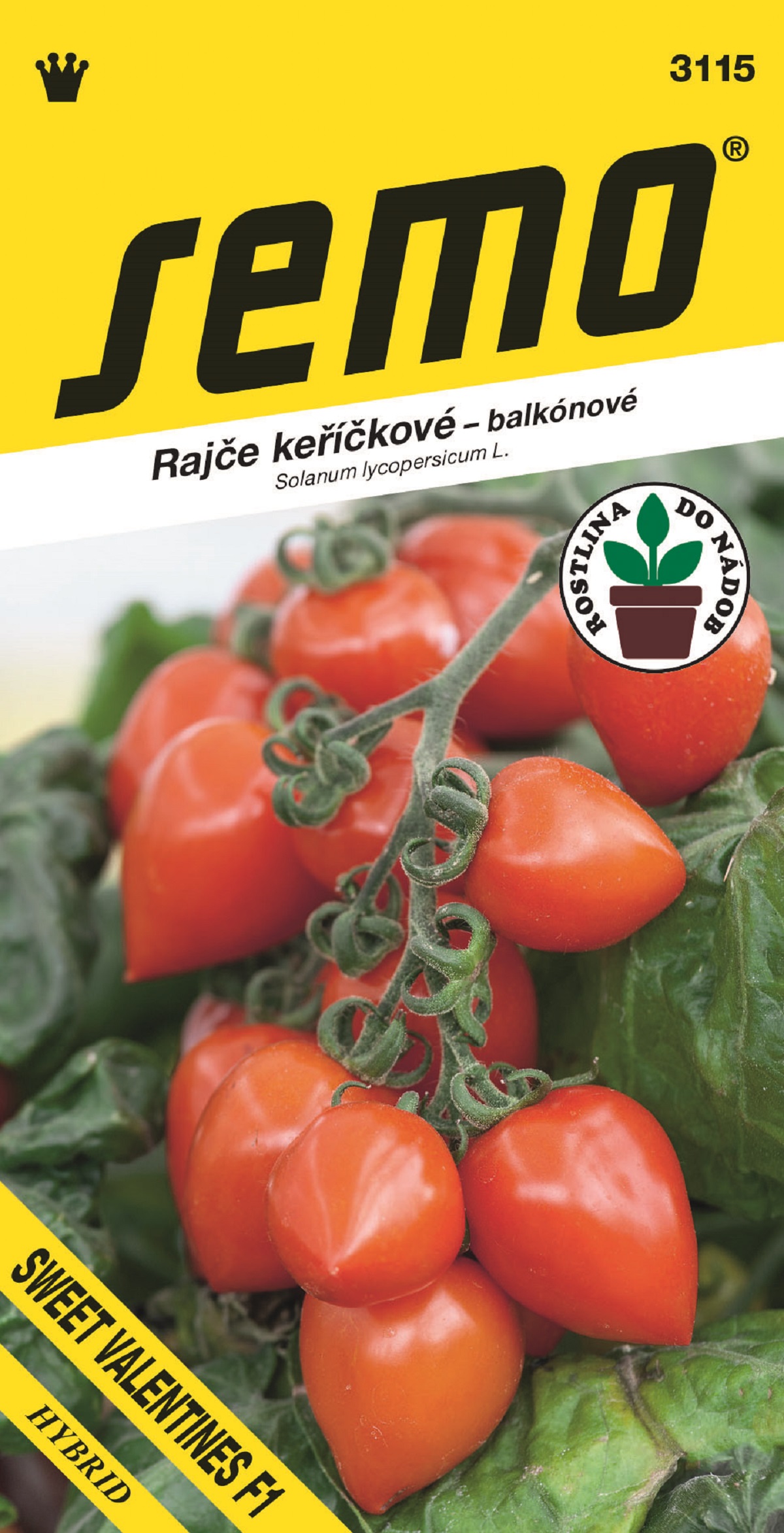 balení semínek rajčat