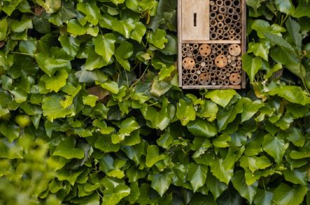 Hmyzí hotel může mít různou podobu a vejde se i do té nejmenší zahrady