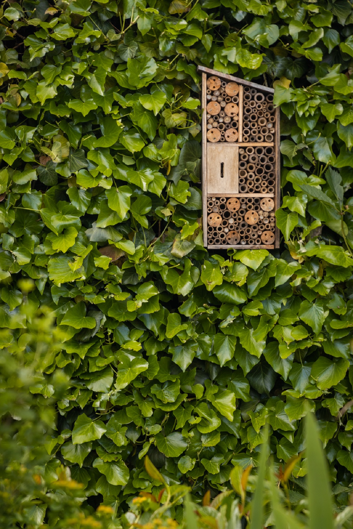 Hmyzí hotel může mít různou podobu a vejde se i do té nejmenší zahrady