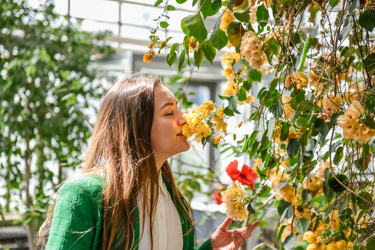 Flora Olomouc 2024