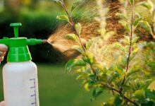 Postřik stromu pesticidem proti škůdcům a chorobám v zahradě pomocí postřikovače plodin