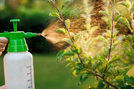 Postřik stromu pesticidem proti škůdcům a chorobám v zahradě pomocí postřikovače plodin