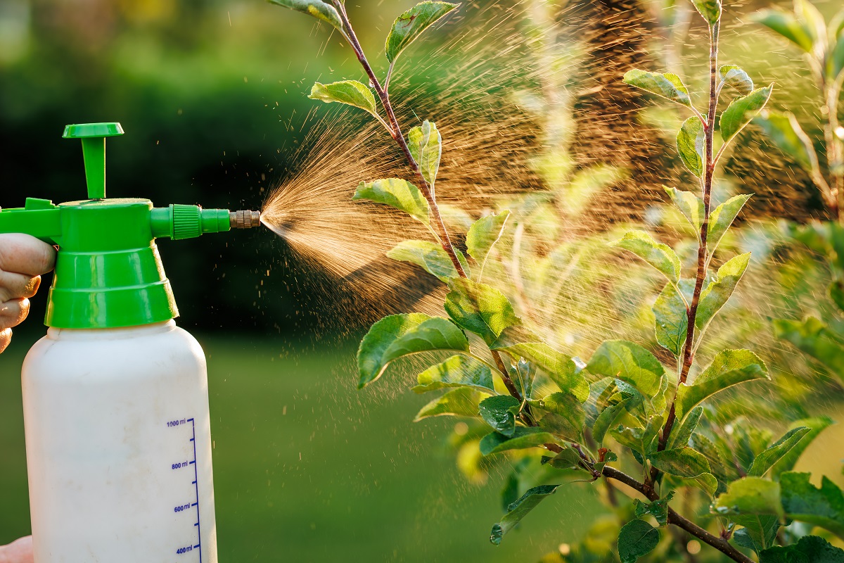 Postřik stromu pesticidem proti škůdcům a chorobám v zahradě pomocí postřikovače plodin