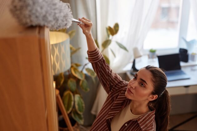 Jak se zbavit prachu v domácnosti. Suchý vzduch způsobuje jeho rychlejší šíření