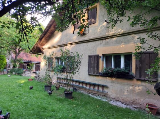 Přemek Podlaha odkázal svému synovi 100 tisíc korun. Ten však nyní žije ve staré hájovně bez elektřiny