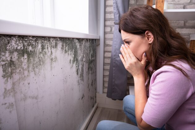 Jak se zbavit plísně na oknech? Nejdůležitější je pochopit příčinu jejího vzniku