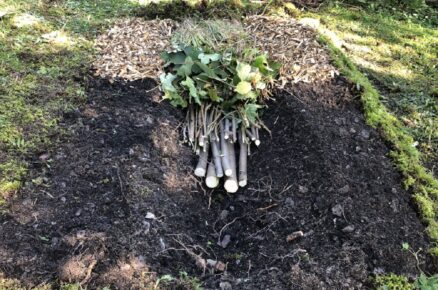 Podstatou záhonu je výživový žlab ve tvaru písmene V, široký 60 až 80 cm a hluboký 20 až 35 cm, který je naplněný různým bioodpadem ze zahrady a z domácnosti