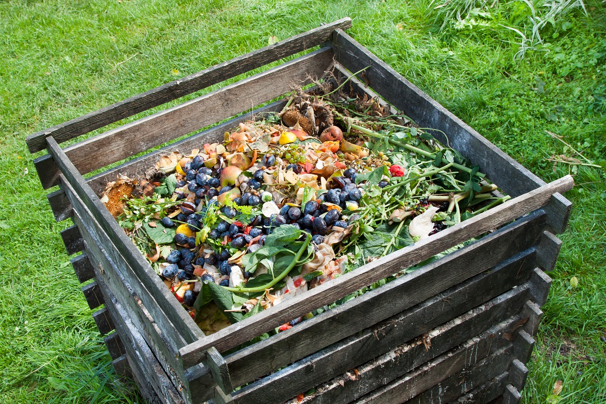 Kompost udržuje správnou půdní strukturu, chrání vaše rostliny před chorobami a ještě vám poskytuje možnost využít vyprodukovaný odpad v domácnosti.