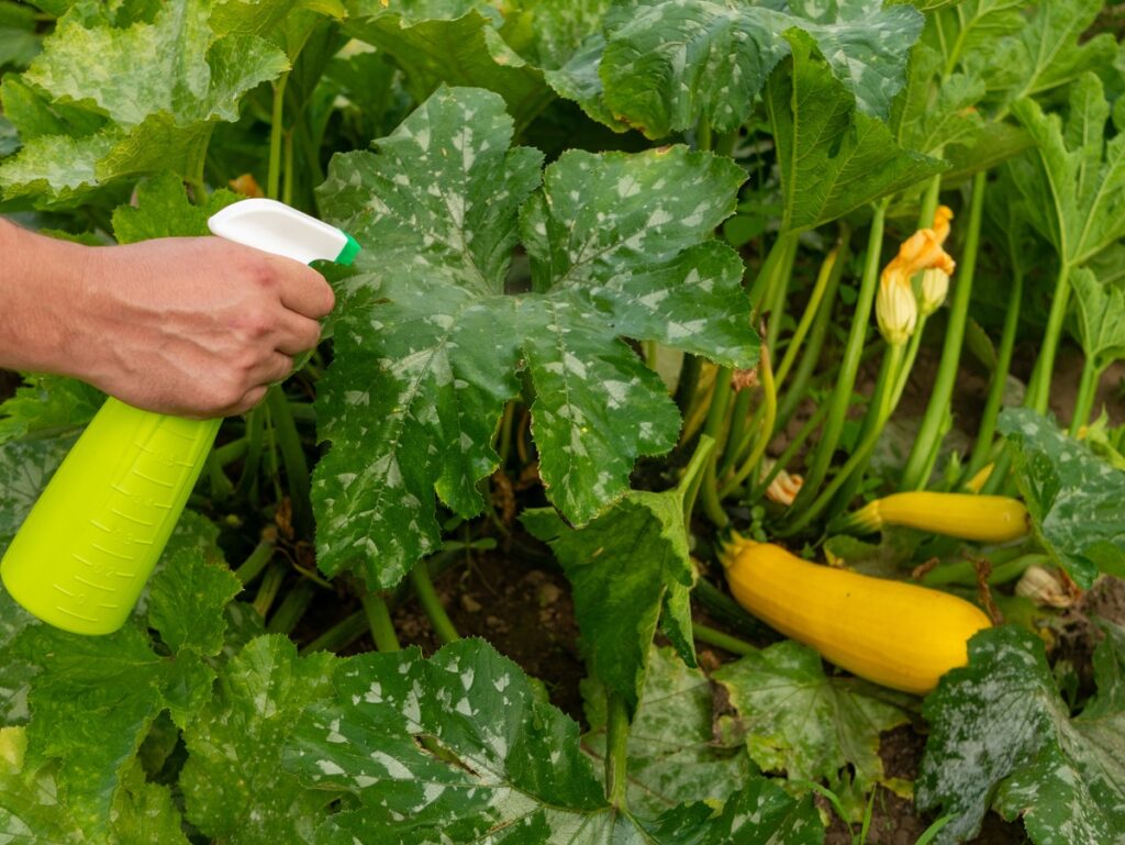 Věděli jste, že můžete použít ocet na své zahradě? Pomůže vám se škůdci, špínou a dokonce i s rostlinami
