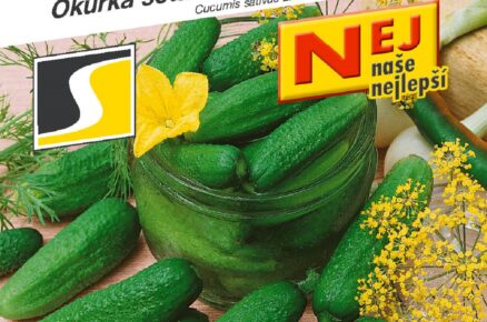 okurka-nakl.hustoost