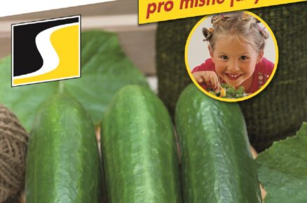 LITTLESNACK 2461 N1718402 CHILD
