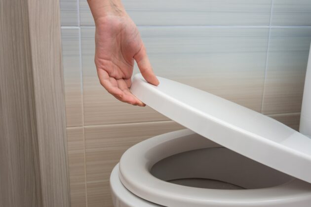 Jak pořídit vhodné WC prkénko? Nepodceňte komfort při užívání