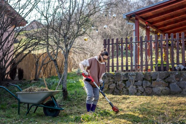 Zahrada v březnu: Co stihnout před začátkem sezóny? Připravte se včas, než bude pozdě