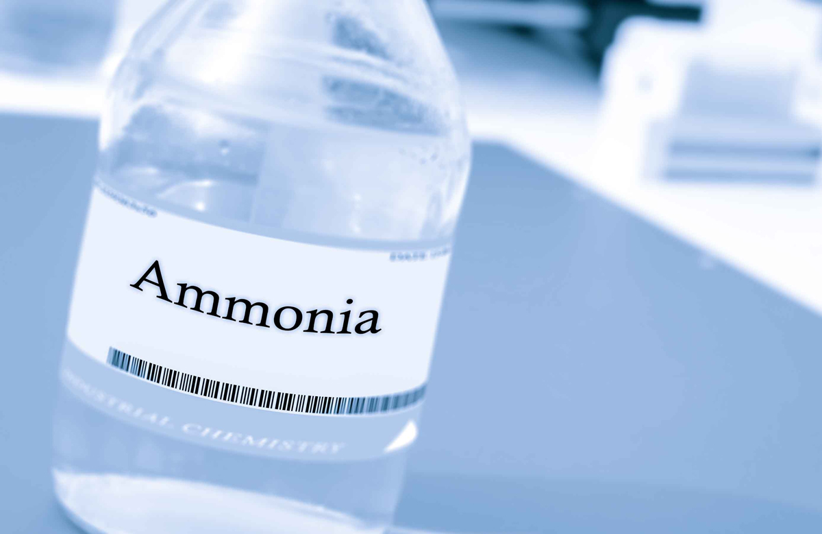 čpavek Plastová láhev s etiketou „Ammonia“ (čpavek), určená k použití při úklidu domácnosti.