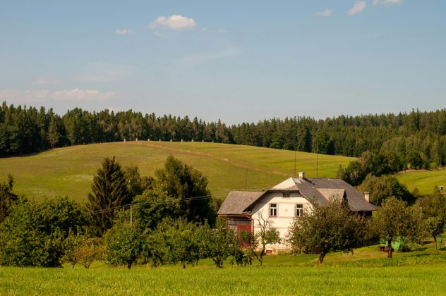 Zahrada u chalupy na tři způsoby: Trávník a květnatá louka