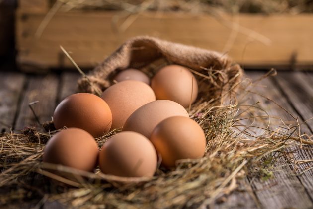Jak nebezpečné je sníst skořápku? A je bledší žloutek z umělého chovu? Překvapivá fakta o obyčejném vejci