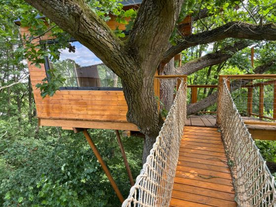 Domek na stromě jako z pohádky: Kutil ho postavil svépomocí a strom přitom zůstal neporušený