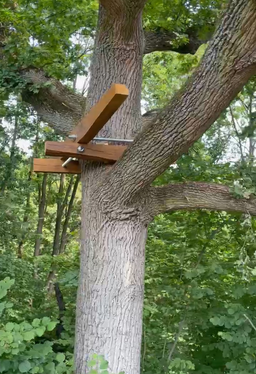 Připevněná nosná konzole na kmeni stromu jako základ pro plošinu.
