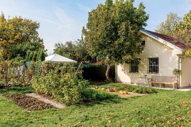 Město vyměnili za klid a zeleň. Jejich venkovská zahrada teď žije vlastním rytmem – pro lidi, ptáky i ježky