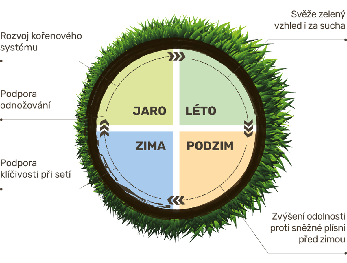Rok trava cz cs CZ