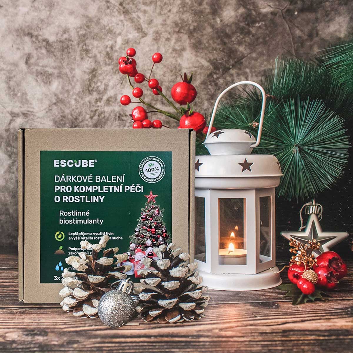 escube Vanocni sada 1 cz cs CZ 1