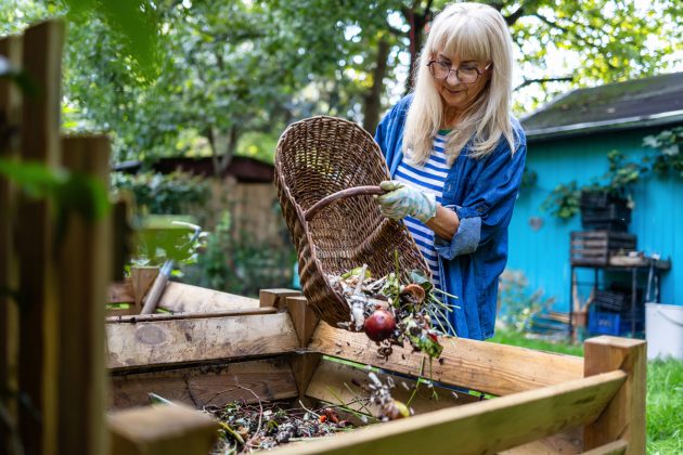 Co po sklizni nevyhazovat? Přeměňte zbytky ze zahrady na výživný kompostní elixír