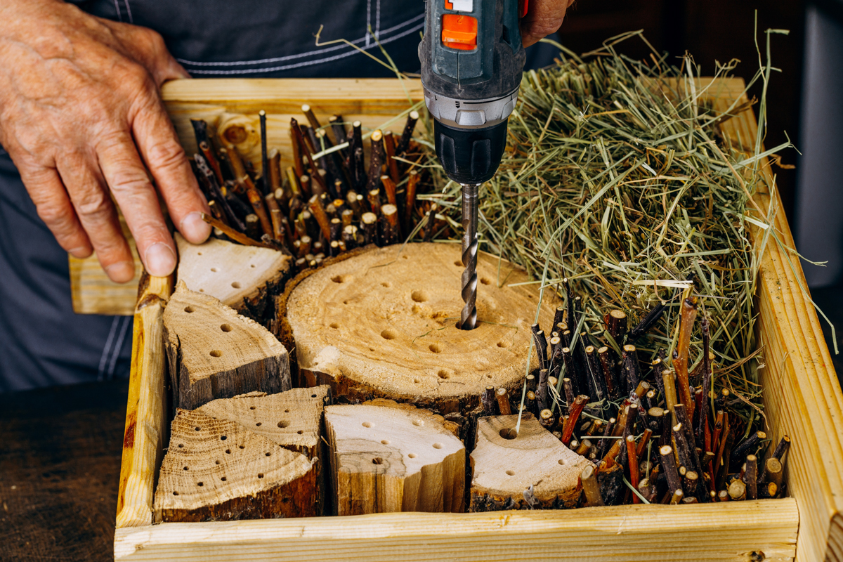 oprava hmyzi hotel Oprava hmyzího hotelu s dřevěnými špalky a dutými větvičkami pro zimující včely samotářky.