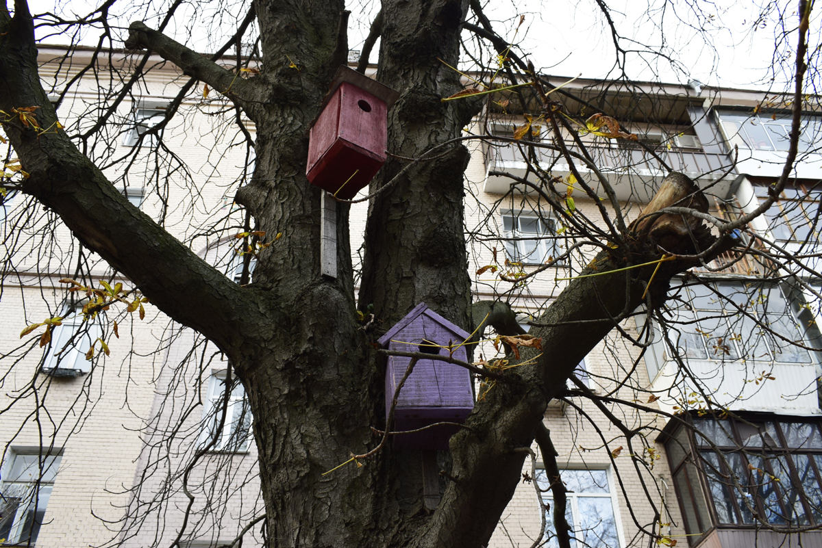 Zahrada nezaspí ani v zimě. Jak pomoci užitečným živočichům přežít chladné měsíce?