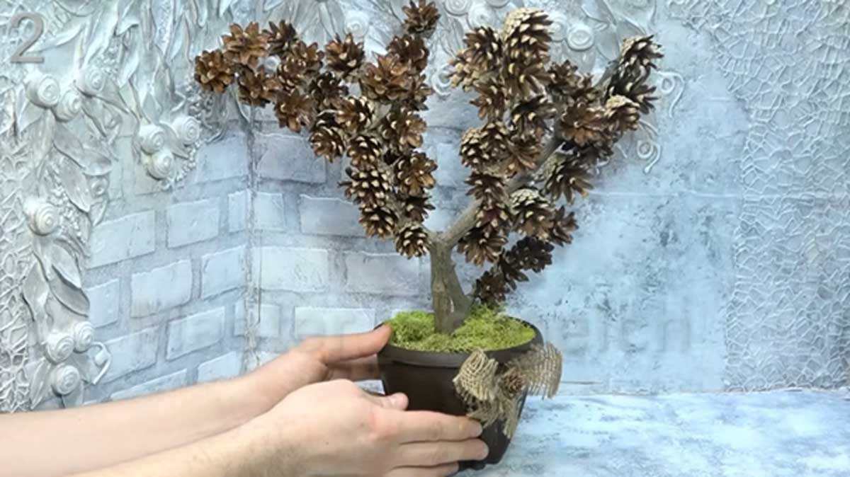 Dekorativní stromek ze šišek v květináči s mechem a jutovou mašlí.