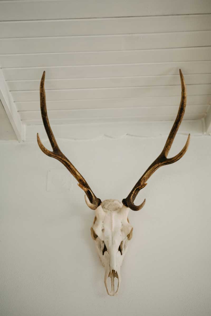 Přírodní motivy v interiéru podtrhují propojení chaty s lesem a okolní krajinou.