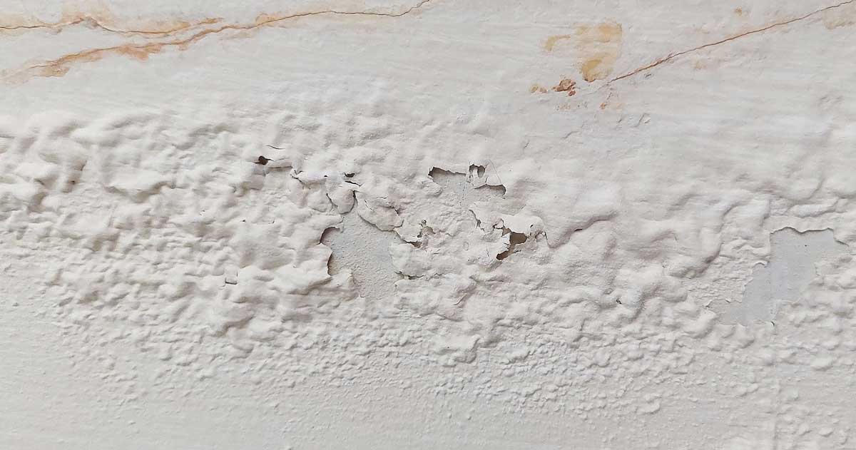 Skvrny, plíseň a zatuchlý vzduch. Signály vlhkosti, které se nevyplatí ignorovat