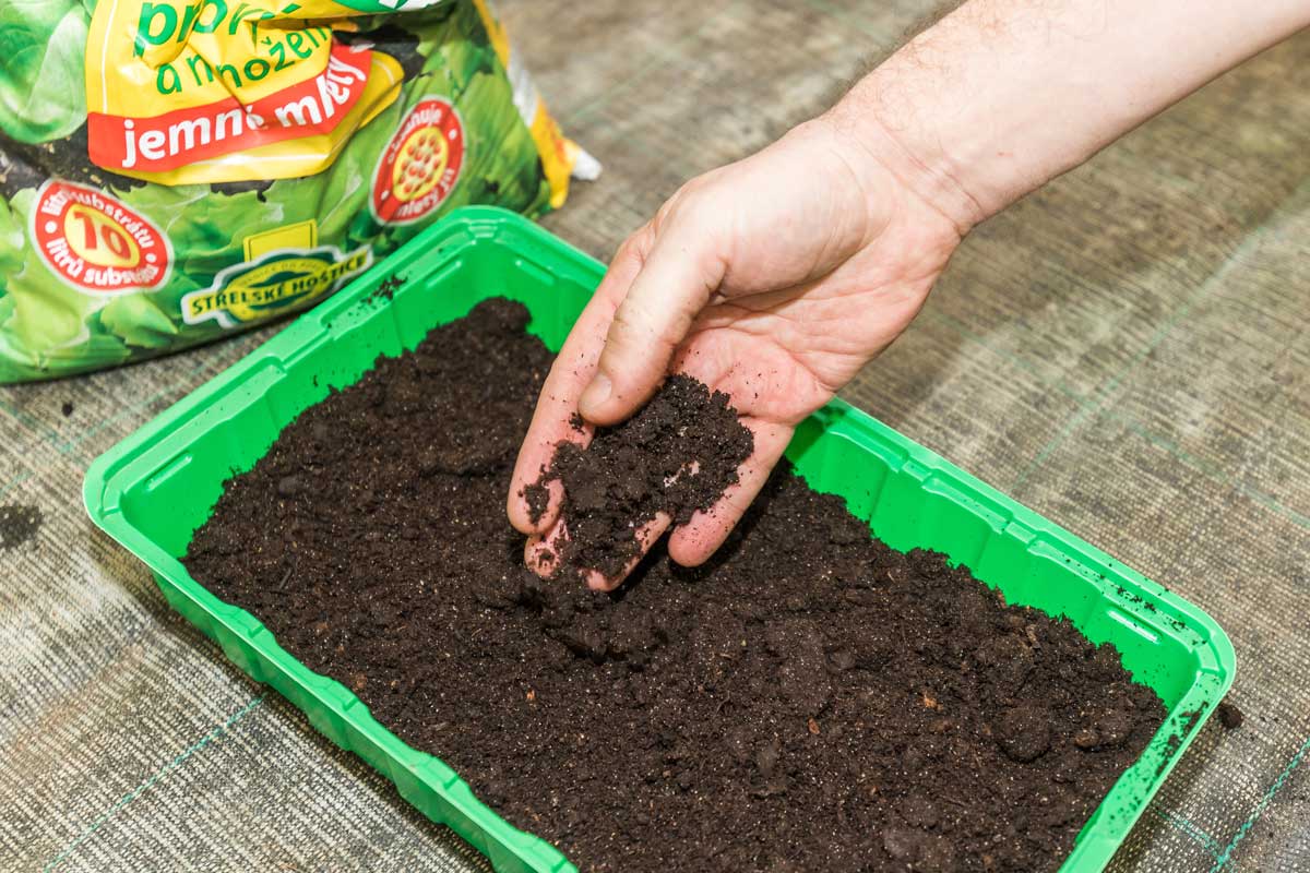 01 MiroPochyba hrudky 0018