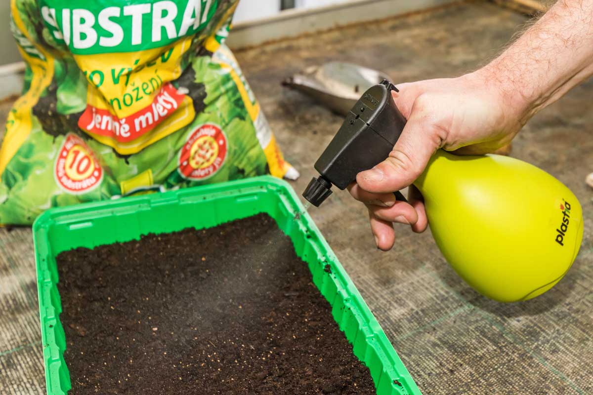 04 MiroPochyba zavlaha 0044