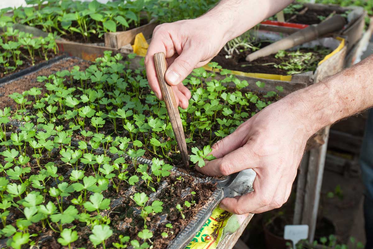 05 MiroPochyba pikirovanie  4898