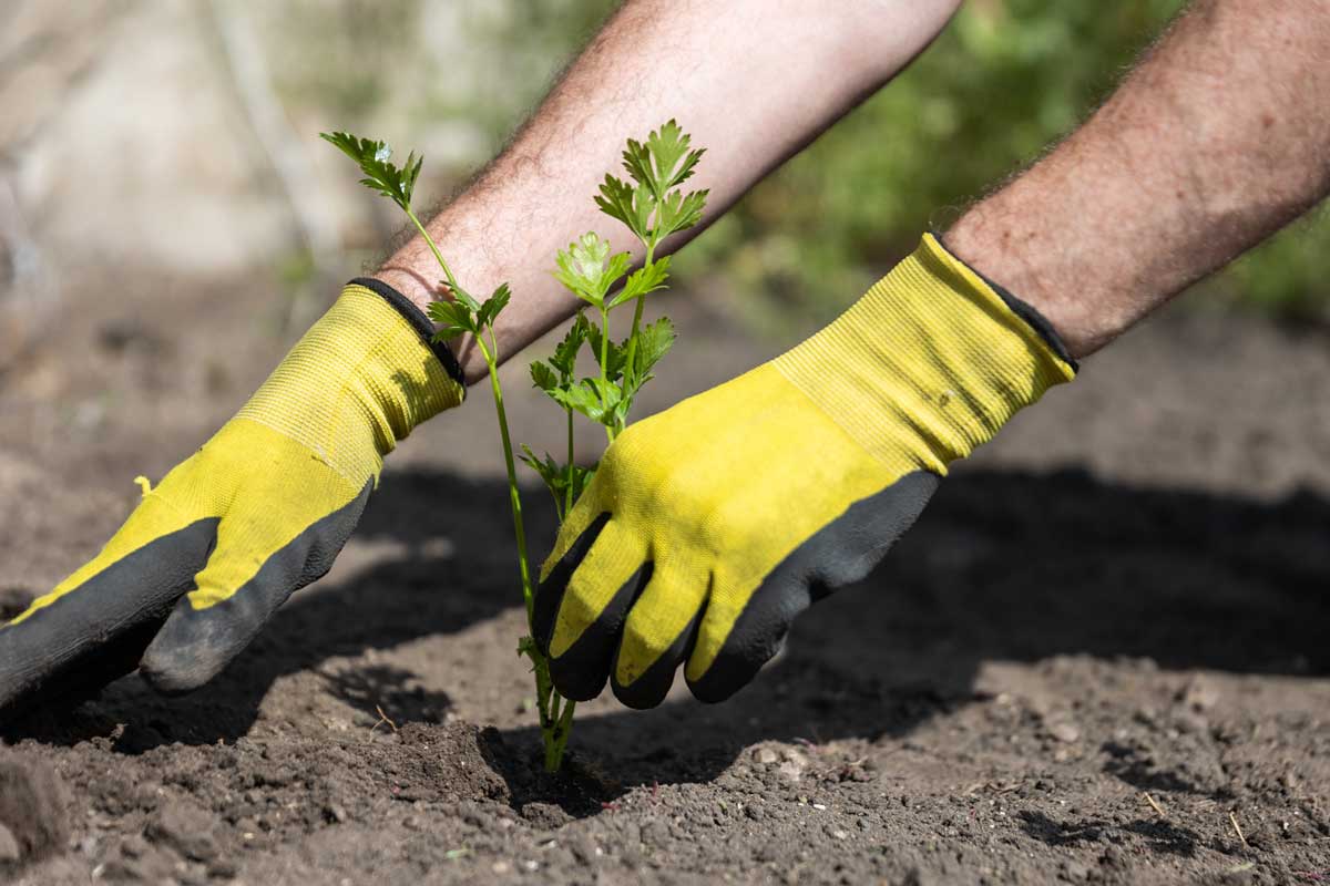 06 zeler 1Z2A8586upr