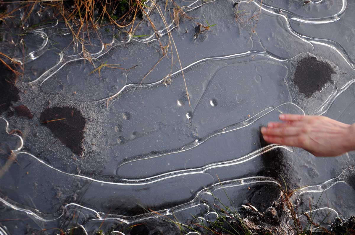 Bubliny a nepravidelnosti v ledu u břehu rybníka ukazují na slabá a riziková místa nevhodná pro bruslení.