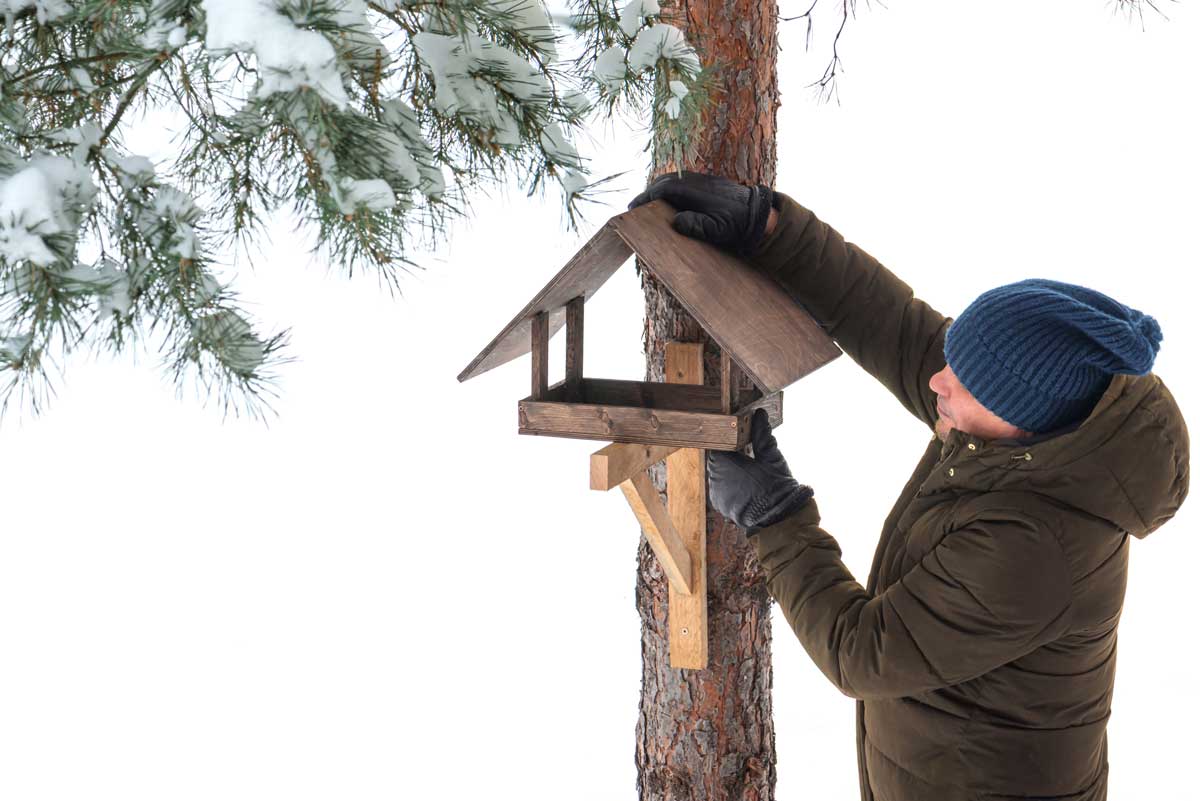 Instalace krmítka na stromě v zimní zahradě na bezpečném a chráněném místě